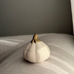 AMBER Bal Kabağı Kutu