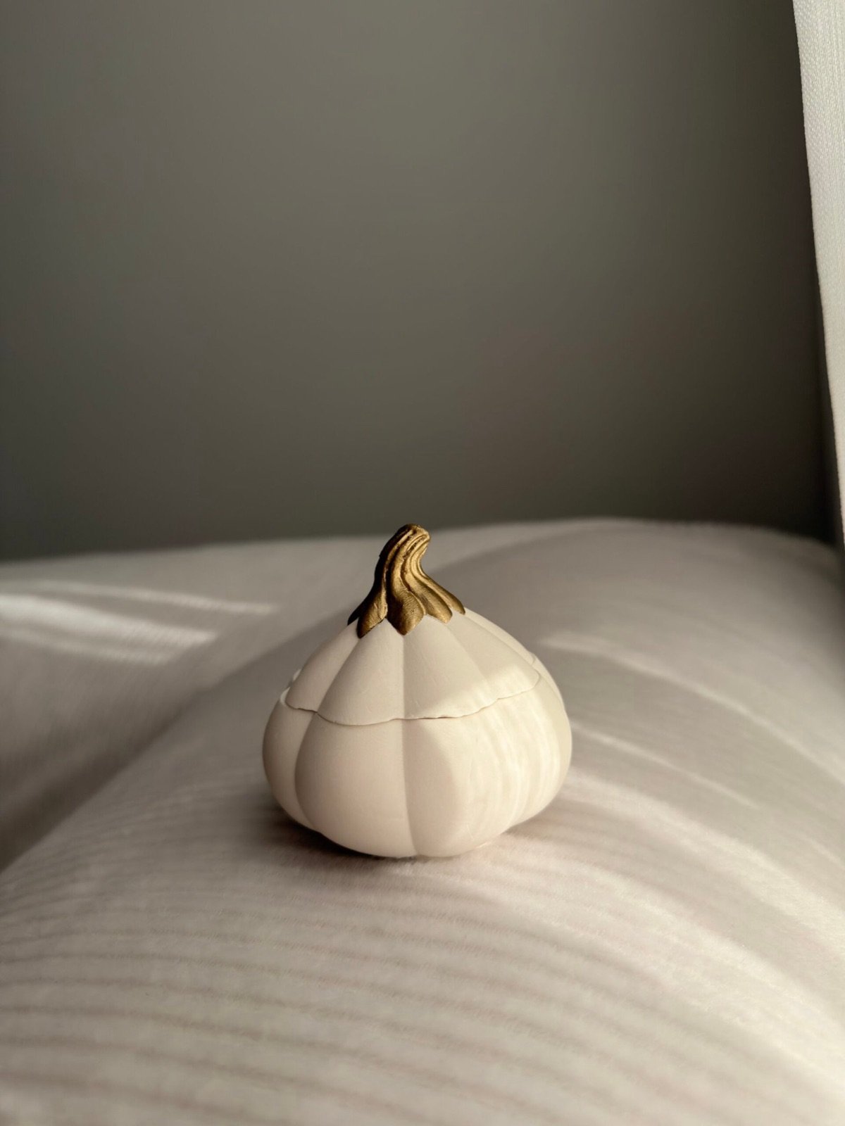 AMBER Bal Kabağı Kutu